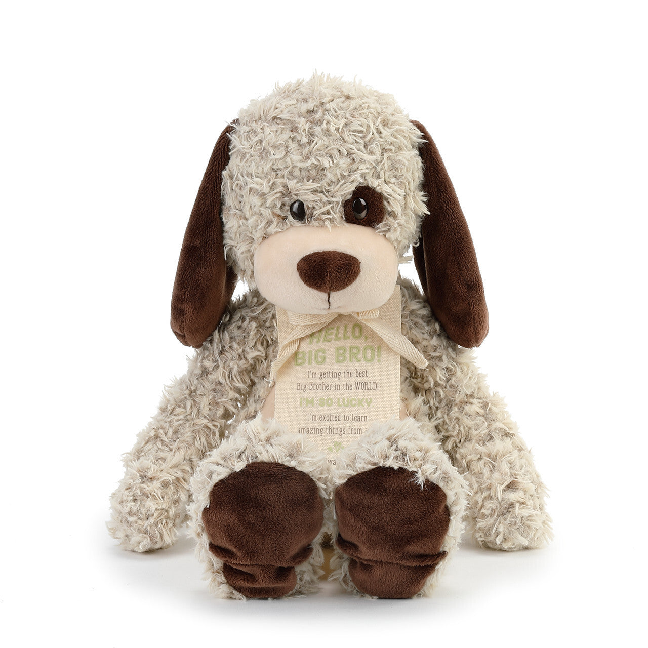 DEMDACO PUPPY BIG BROTHER FROM BABY - Gifts R Us